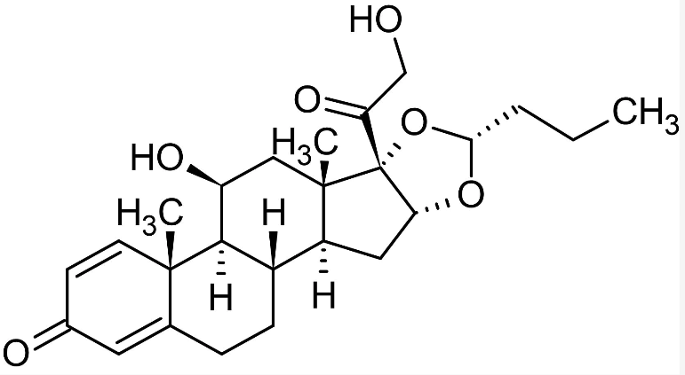 Budesonide: A Magna Product in Curatio Aegritudinum respiratorii